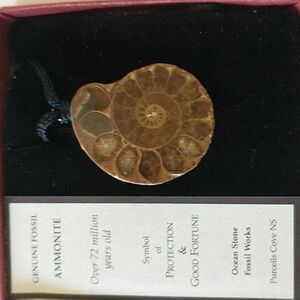 Ammonite Pendant